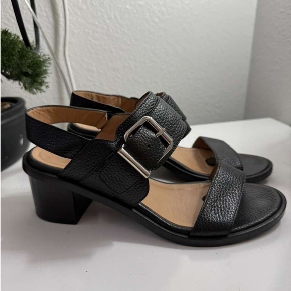 Aquatalia Shoes - Aquatalia Black Leather Sandals with Silver Buckle